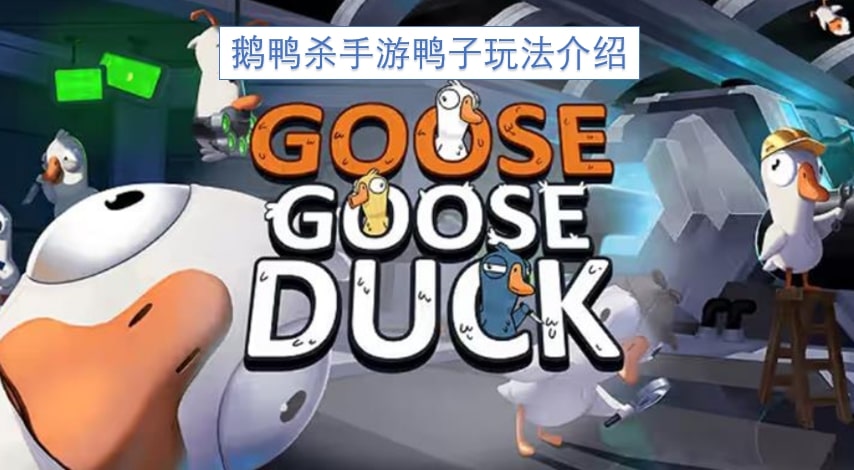 鹅鸭杀手游鸭子玩法介绍