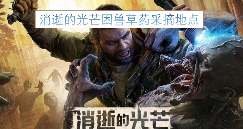 消逝的光芒困兽草药采摘地点