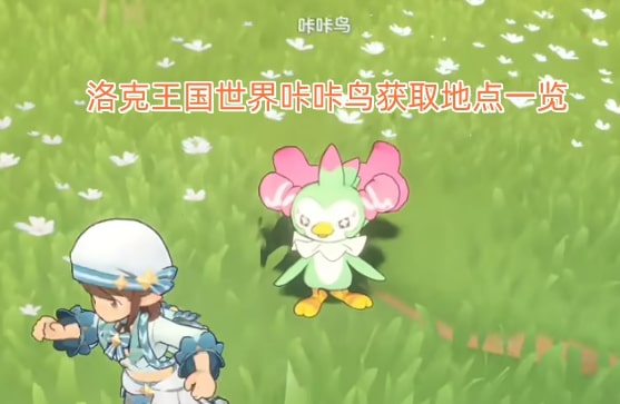 洛克王国世界咔咔鸟获取地点一览