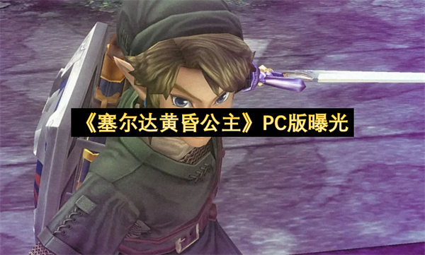 《塞尔达黄昏公主》PC版曝光
