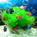 水族馆动态壁纸(桌面屏保)汉化版下载