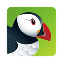 puffin浏览器国际版下载