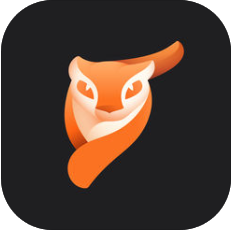 enlight photoloop中文版