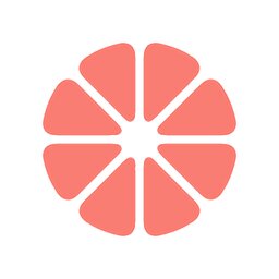 柚子小说