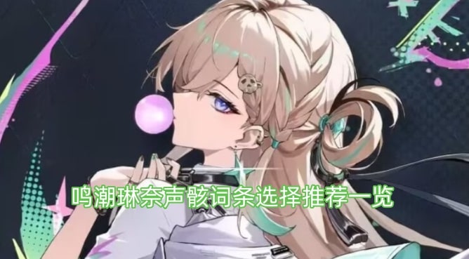 鸣潮琳奈声骸词条选择推荐一览