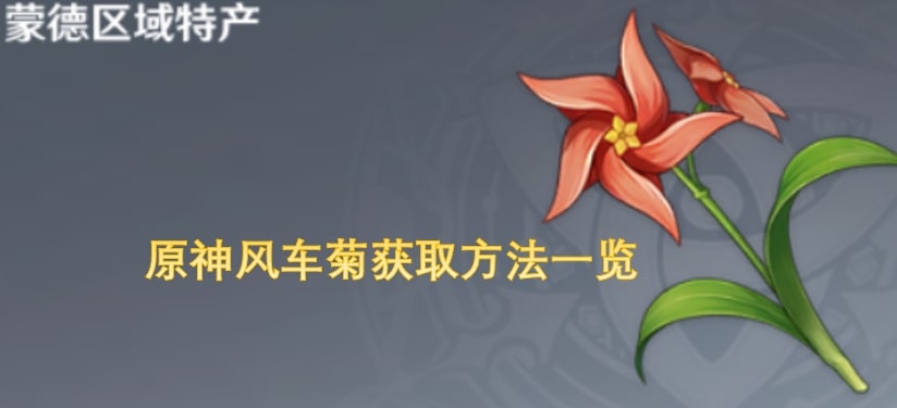 原神风车菊获取方法一览