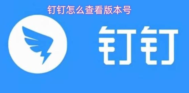 钉钉怎么查看版本号