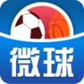 微球2025官方正版下载