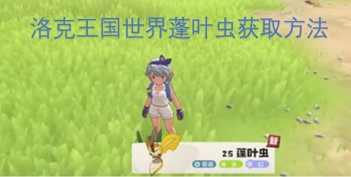 洛克王国世界蓬叶虫获取方法