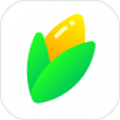 玉米相册正式版
