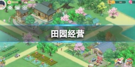 田园经营