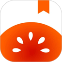 红果小说阅读器