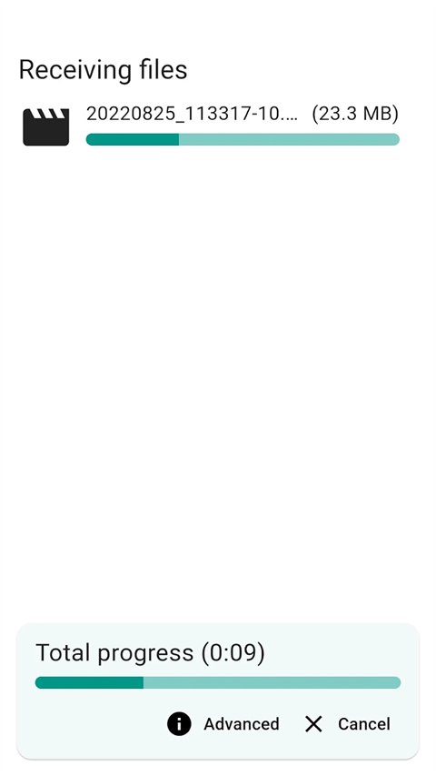 LocalSend手机版截图3