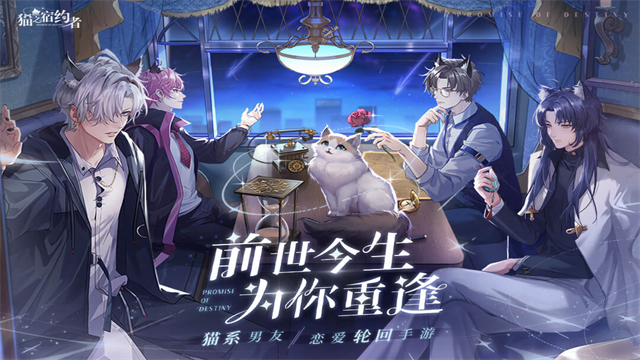 猫之宿约者正式版截图5