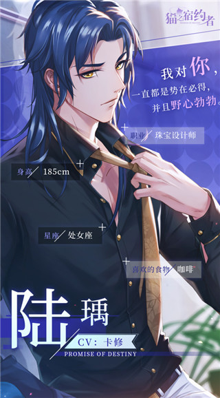 猫之宿约者正式版