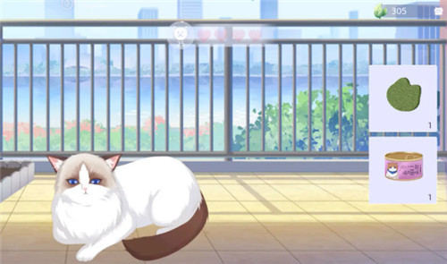 猫之宿约者正式版