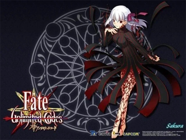 Fate stay night汉化版