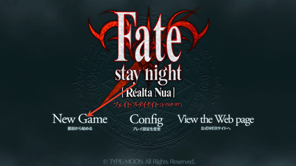 Fate stay night汉化版