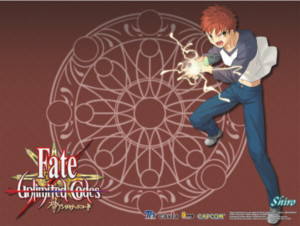 Fate stay night汉化版