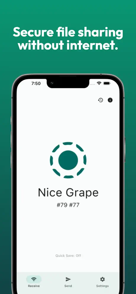 LocalSend中文版截图4