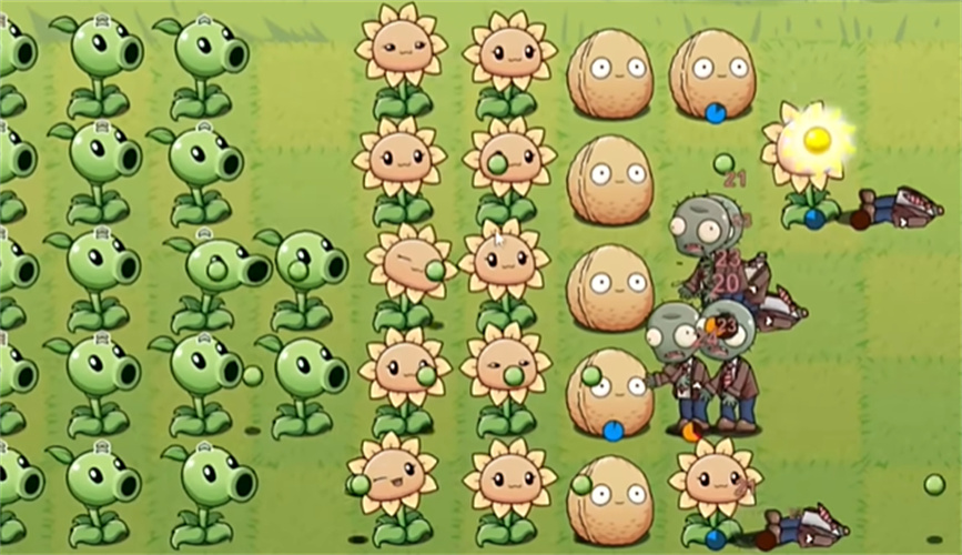 植物大战僵尸lg版截图1