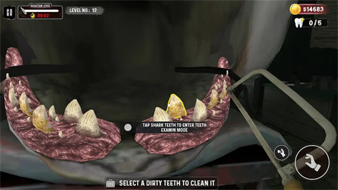 鲨鱼牙医模拟器