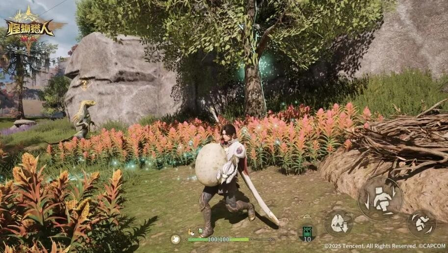 怪物猎人旅人搬蛋挑战攻略1