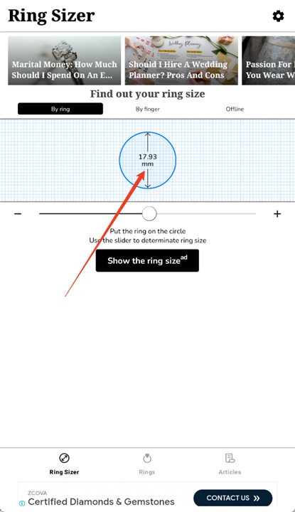 ring sizer内购版