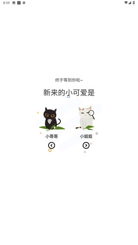 喵趣官方正版截图1