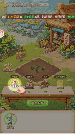 我的花园世界完整版