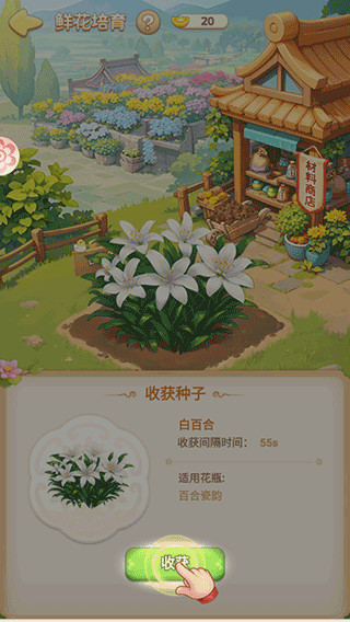 我的花园世界完整版