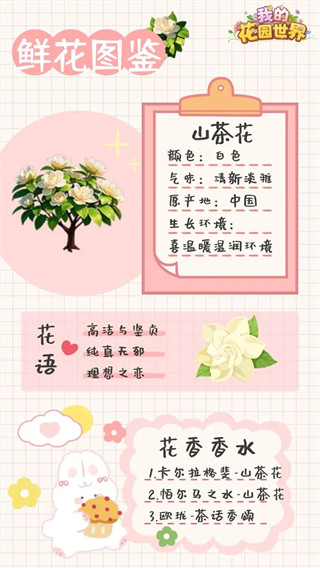 我的花园世界完整版