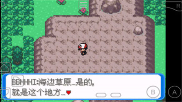 口袋妖怪圣灰汉化版截图2