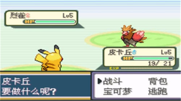 口袋妖怪圣灰汉化版截图3