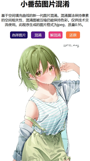 小番茄混淆工具手机版截图2