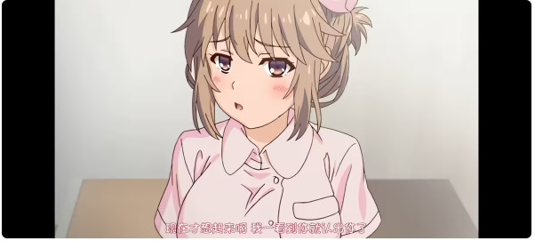 我和她的研修日志汉化版