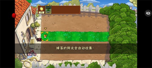 植物大战僵尸随机植物版游戏玩法4