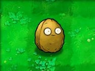 植物大战僵尸随机版