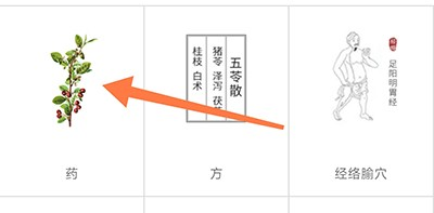扁鹊中医手机版