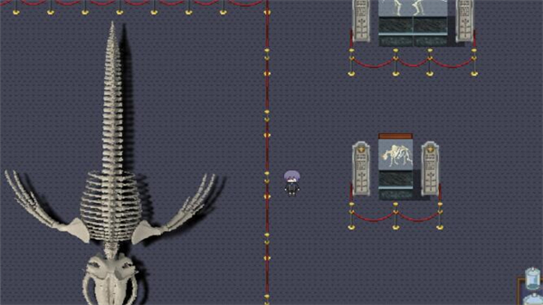 白夜博物馆手机版截图3