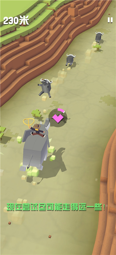 疯狂动物园国际服