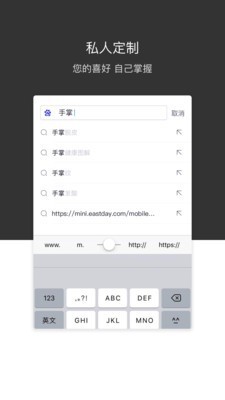 绿叶浏览器手机版下载截图2