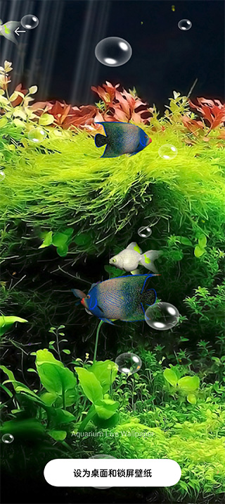 水族馆动态壁纸(桌面屏保)汉化版下载