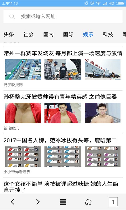 vip浏览器截图2