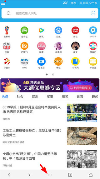 vip浏览器