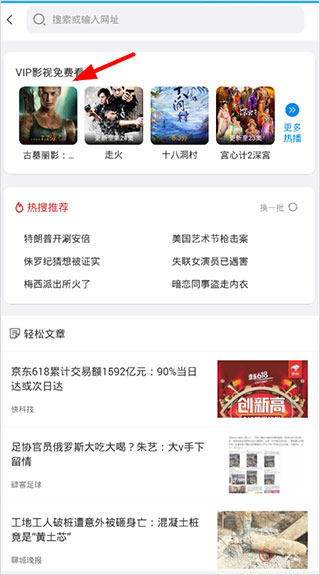 vip浏览器