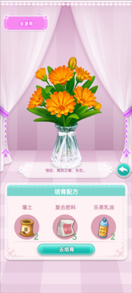 鲜花小镇官方正版