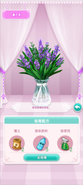 鲜花小镇官方正版