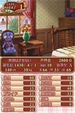 美少女梦工厂4完璧版截图5