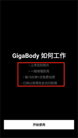 gigabody肌肉生成软件